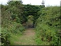 Former railway bridge over farm track