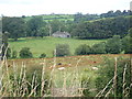 The derelict Harrymount House