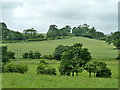 View from Rackham Road towards Amberley