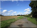 Farm track to Oxton Grange