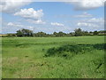 Grassland and power lines, Silverstone