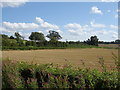 Stubble field near Home Farm