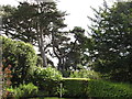 Garden of Chine Hotel, Boscombe, with mature trees