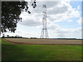 Pylon in crop field