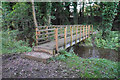 Footbridge in Dingle Wood