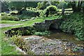 Calbourne, Winkle Street: The river running by the cottages 4