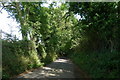 Lowslip Hill descending to Long Wood