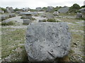 At the Tout Quarry Sculpture Park