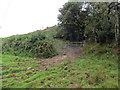 SN4510 : Llwybr Greenhall / Greenhall Path by Alan Richards