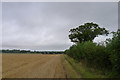 The North Downs Way heading towards Ashley