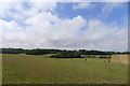 Minacre Farm from Waldershare Road