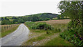 SN8754 : Farm road north-east of Abergwesyn in Powys by Roger  Kidd
