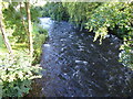 Part of the Afon Seiont in Glan Gwna Holiday Park