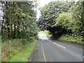 Looking down Pelton lane