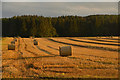 Farmland in the Ythan Valley, Aberdeenshire