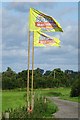 SO8541 : Sunshine festival flags by Philip Halling