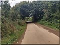 Country lane near Lesingey