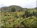 Grade V agricultural land between the Duburren Road and Courtney  Mountain