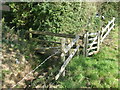 A footbridge to Featherbed Lane