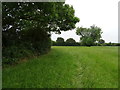 Footpath to Lydiard Millicent