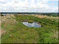 Slurry pit, near North Newton