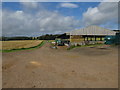 Wider view of new cattle-feeding shed near Preston