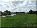 River Ouse at Acaster Selby