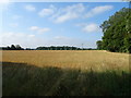 Farmland beside Roman Road, Whitewalls