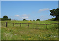 Grazing off the B4040 near Ellstree House