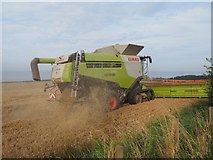 NT7572 : Claas Combine Harvesting Wheat at Birnieknowes by Jennifer Petrie