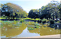 Queens Park Pond - Aug 2019