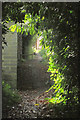 Footpath to Middle Bourne