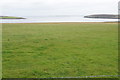 Smooth grazing land above Widewall Bay