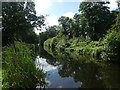 Grand Western Canal south-west of Westcott Bridge