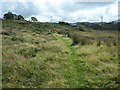 Public footpath heading south-east from Dafarn Dywarch