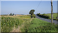 Fields near Carrowdore