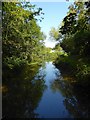 Pond, Hawkhurst Fisheries