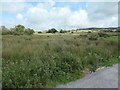 Bryngwyn farmland