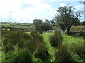 Public footpath heading south-west from Bryngwyn