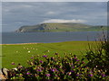 View of fields from a garden in Scatness