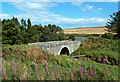 At the Bridge of Forvie