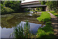 Bridge 119A, Leeds & Liverpool Canal