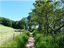 NY4624 : Footpath from temporary car park to Pooley Bridge by Ruth Sharville