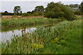 Kennet and Avon Canal at Great Bedwyn