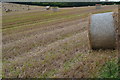 Bales in field at Great Bedwyn