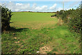 Field, Wigford Cross