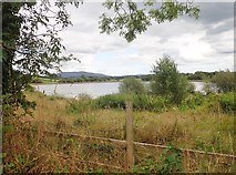 H9119 : View East across Cullyhanna Lough by Eric Jones