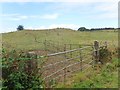 Animal pen at the base of grassed-over lead mine tailings