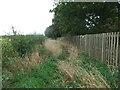 Footpath from the river edge to Naburn Lane