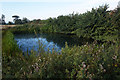 SP2881 : Pond to the west of Allesley by Ian S